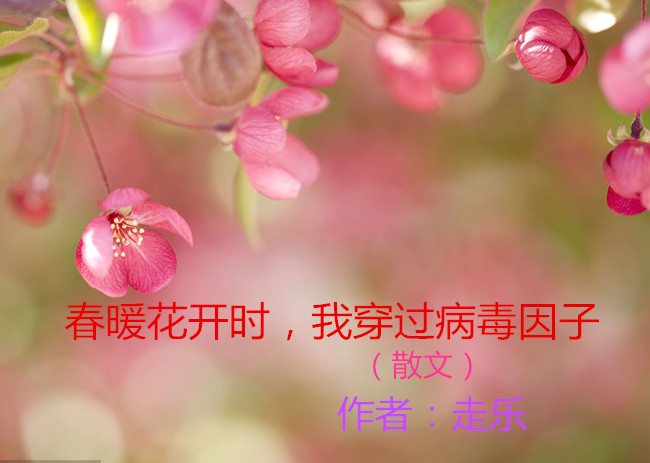 【八一】春暖花開時，我穿過病毒因子（散文）