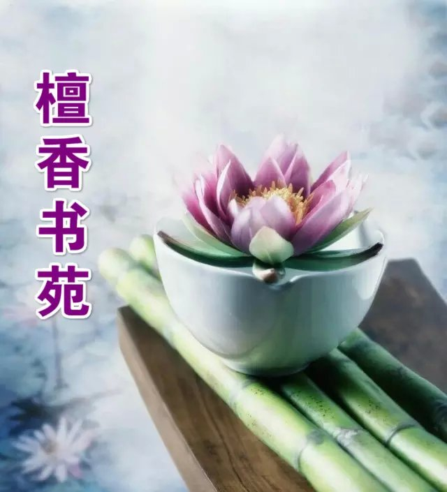 【檀香】人間百味后，方知寧靜致遠(yuǎn)君子蘭（散文詩）