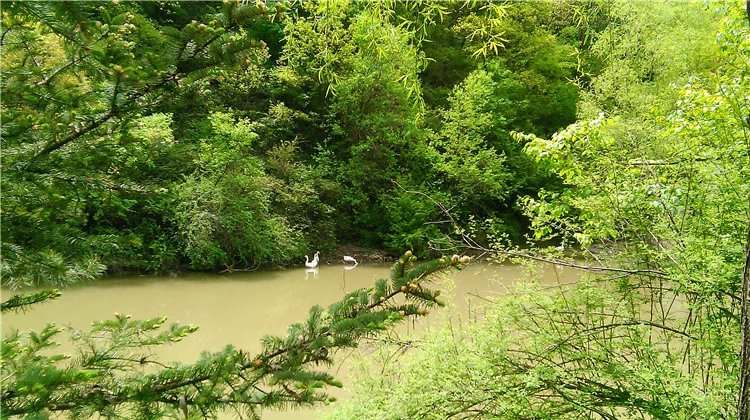 米家溝和云崖寺兩日游