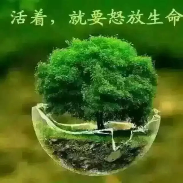 【專(zhuān)欄】我是一把傘