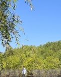 【江山·見(jiàn)證】【星月】嫩江灣景點(diǎn)定風(fēng)波八體（古韻）