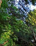 【江山·見證】【心靈】走進(jìn)陶然亭公園（散文）