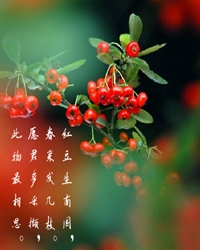 兩地相思，紅豆紅（外二章）