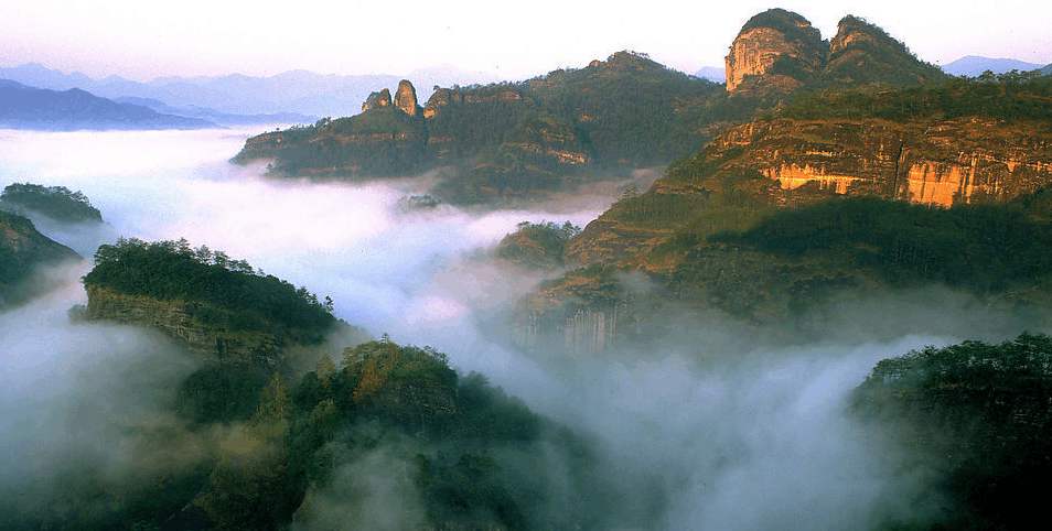 【鳳凰?舞】武夷山之旅——叩問山水，茶中情（散文）