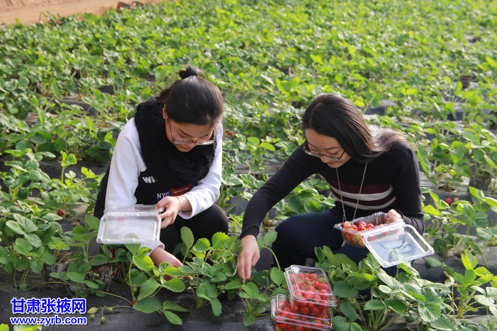 【吉祥】種植的樂(lè)趣（散文）