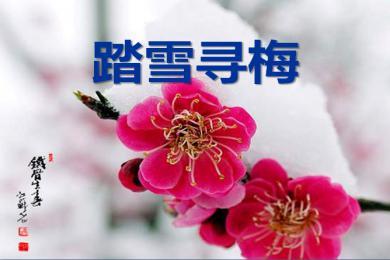 【軍警】落雪，有詩(shī)有襲（詩(shī)歌）