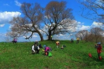 【星月】三月春雨足，呼兒競(jìng)采擷（散文）