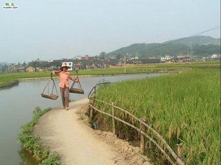 鄉(xiāng)村里的女人