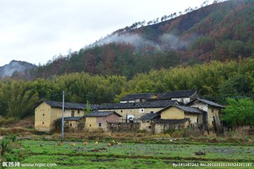 【西風】致故鄉(xiāng)（散文）