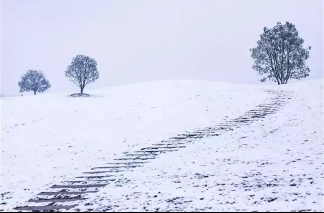 【文璞】臨江仙· 春雪（古韻外四闋）