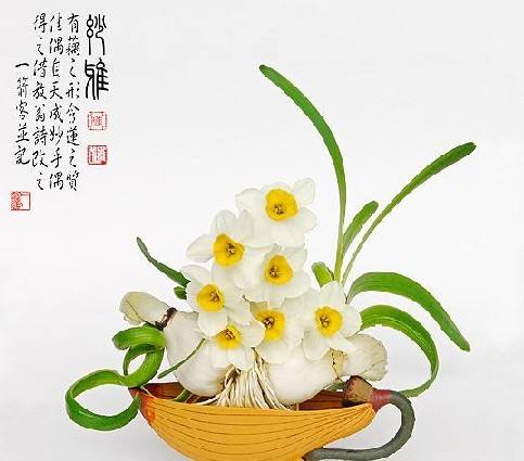 【荷塘】素心一捧，踏浪來（散文）