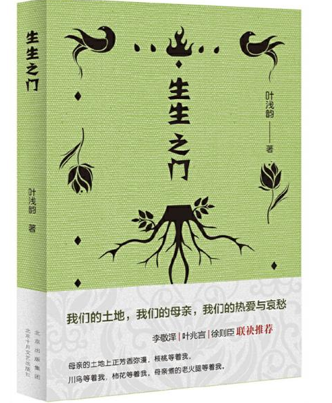 【流年】新時代生生不息的極致書寫（賞析）